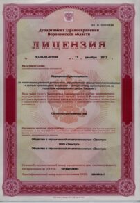 Фото лицензии клиники "Элпис" - 1